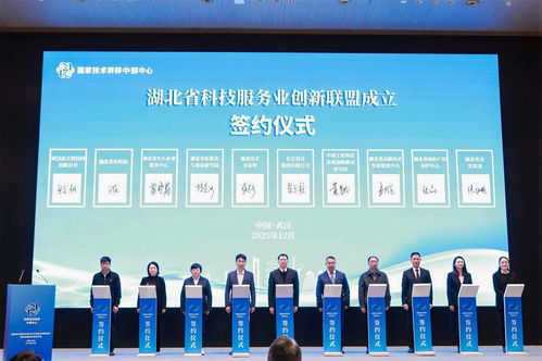 湖北省科技服務(wù)業(yè)創(chuàng)新聯(lián)盟成立，信息技術(shù)咨詢服務(wù)邁入新階段
